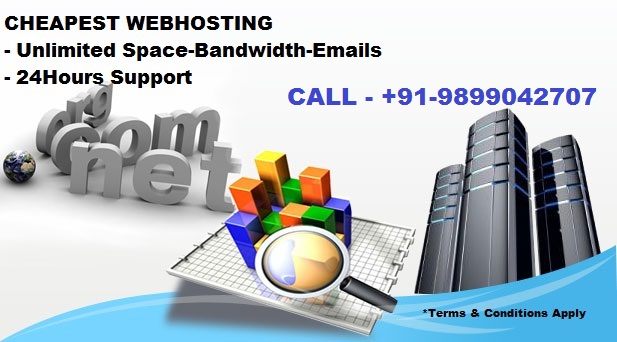 webhosting delhi