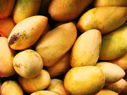 Thamboor Mango