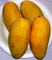 Dusherri Mango