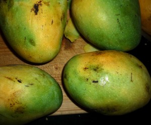Nadaan Mango