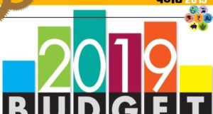 Bullet point of Budget 2019 – DwarkaExpress